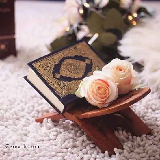 Noura Hassan Elshishtawy