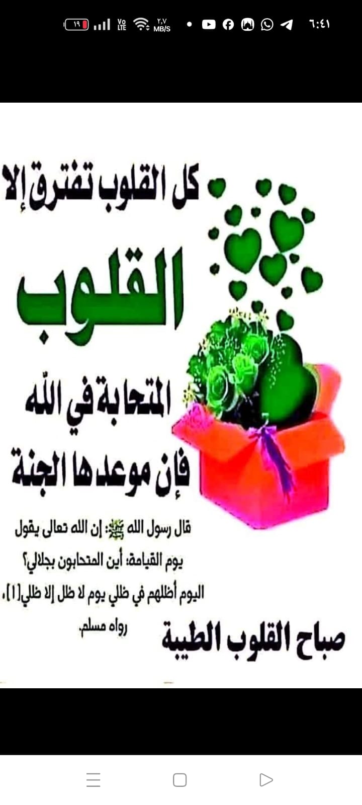 الفيديو التعريفي
