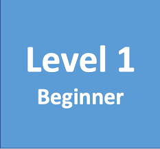 level 1